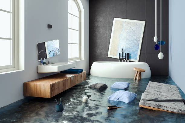 Best Mold removal after water damage  in Sandy, UT