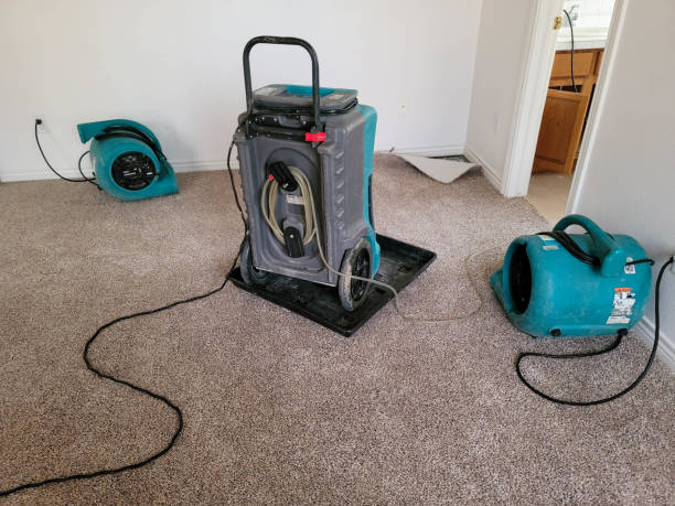 Best Ceiling water damage repair  in Sandy, UT