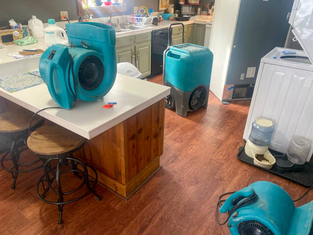 Best Emergency water extraction  in Sandy, UT
