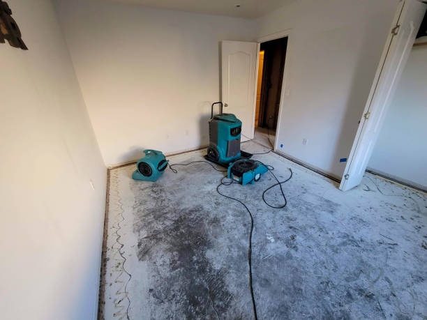 Best Flooded house restoration  in Sandy, UT