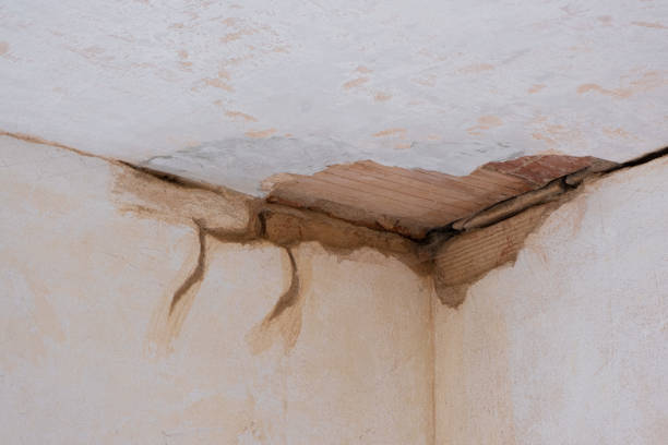 Best Water damage restoration near me  in Sandy, UT