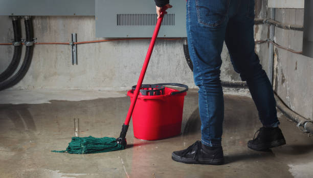 Best Basement water damage restoration  in Sandy, UT
