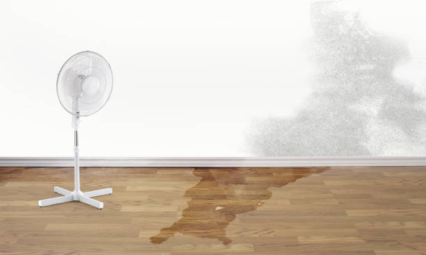 Best Water damage cleanup near me  in Sandy, UT