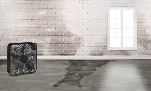 Best Water damage restoration process  in Sandy, UT