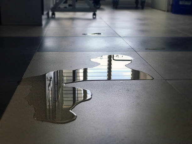Best Water damage contractors near me  in Sandy, UT