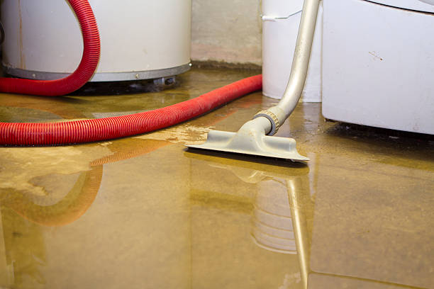 Best Water damage restoration insurance claims  in Sandy, UT