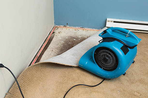 Best Sewage cleanup and water damage restoration  in Sandy, UT